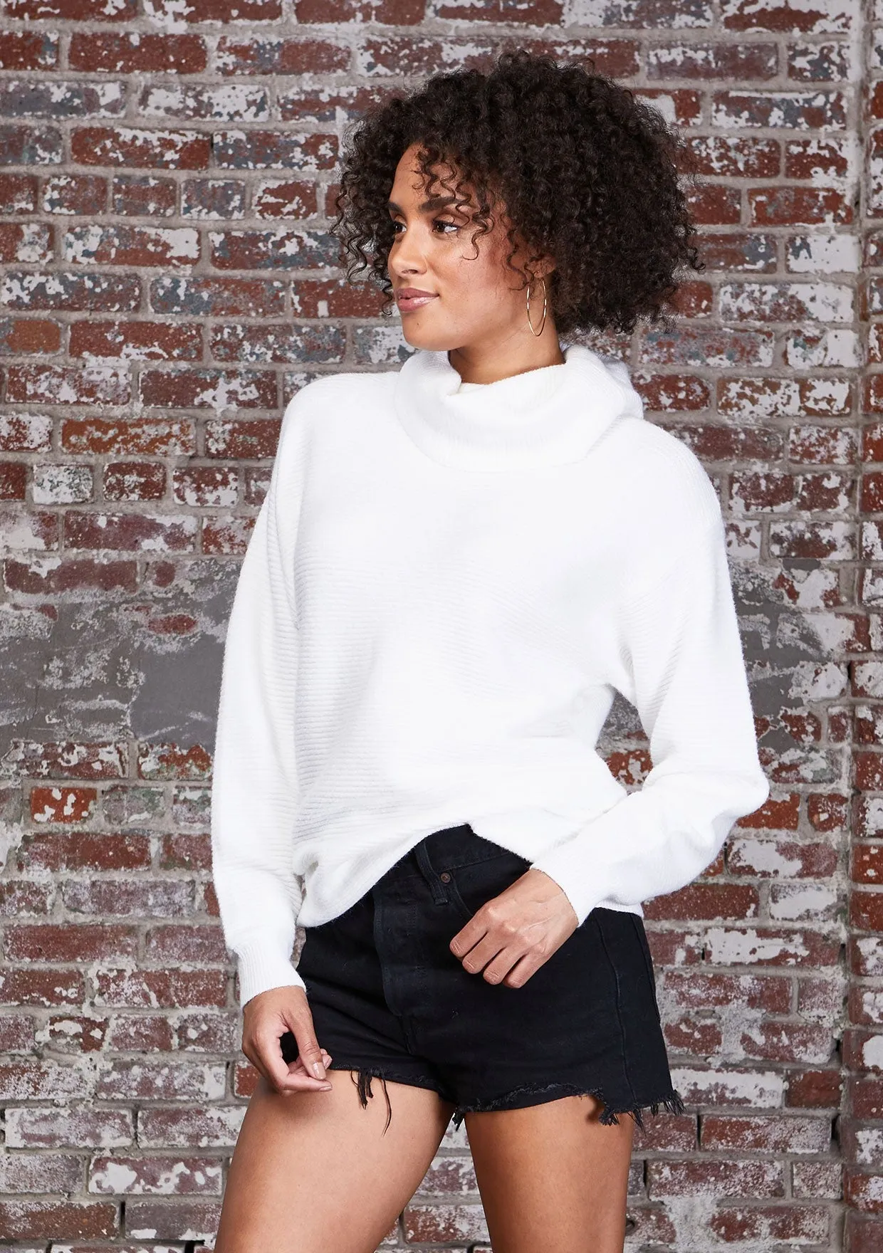 Oversized Ribbed Turtle Neck Sweater