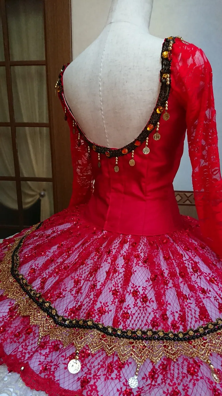 Paquita Ombre Professional